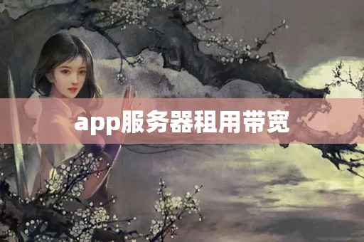 app服務(wù)器租用帶寬