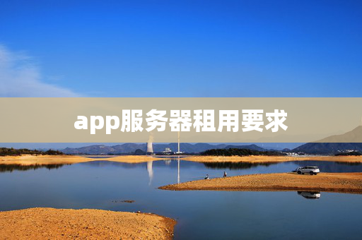 app服務(wù)器租用要求