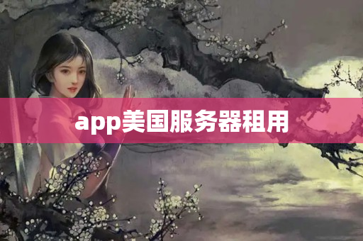 app美國服務器租用