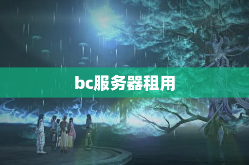 bc服務(wù)器租用