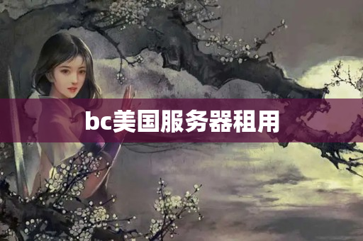 bc美國服務(wù)器租用