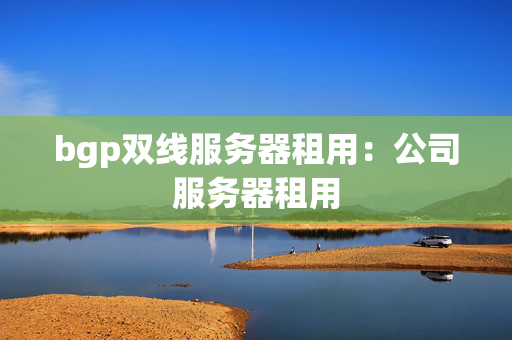 bgp雙線服務器租用：公司服務器租用