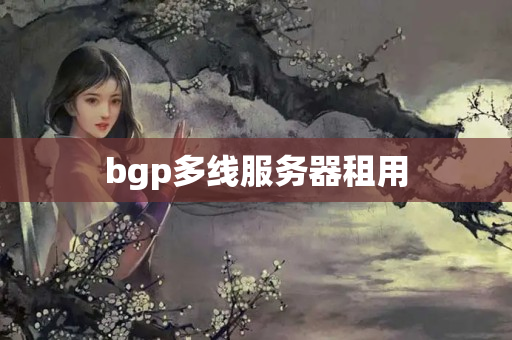 bgp多線服務(wù)器租用