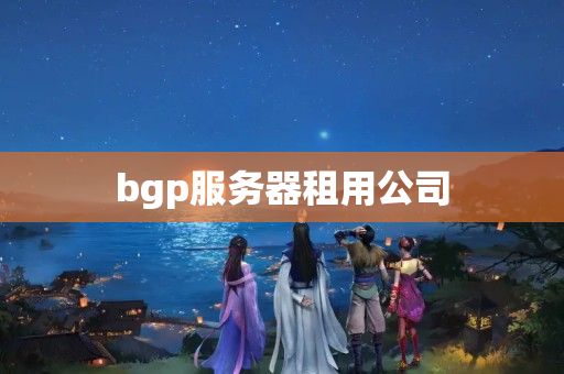 bgp服務(wù)器租用公司