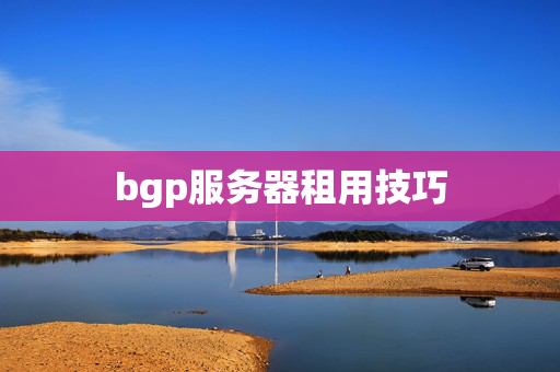 bgp服務(wù)器租用技巧