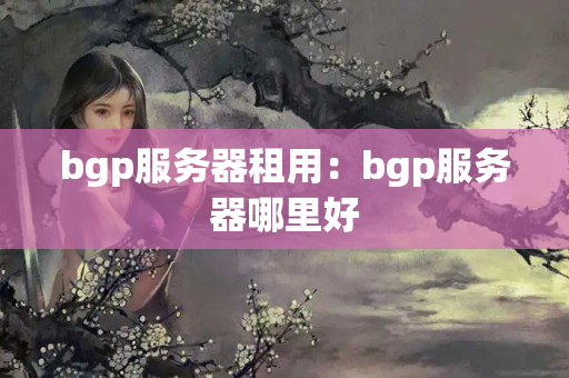 bgp服務(wù)器租用：bgp服務(wù)器哪里好