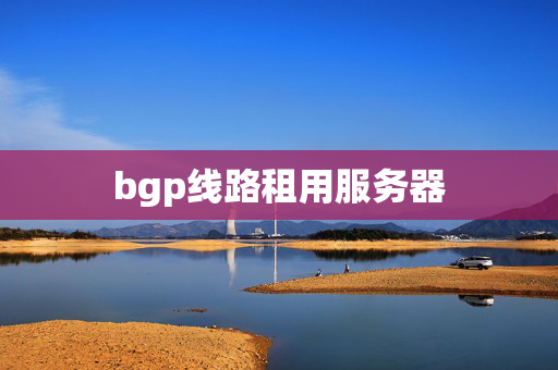 bgp線路租用服務(wù)器