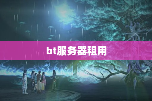 bt服務(wù)器租用