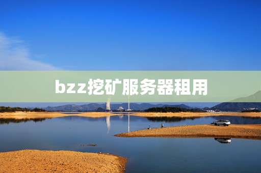 bzz挖礦服務(wù)器租用