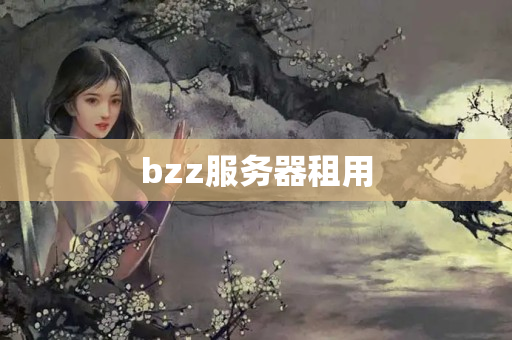 bzz服務(wù)器租用