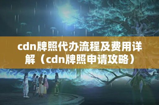 cdn牌照代辦流程及費(fèi)用詳解（cdn牌照申請(qǐng)攻略）