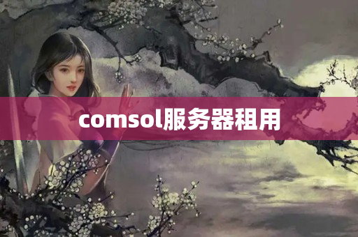 comsol服務(wù)器租用