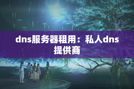 dns服務(wù)器租用：私人dns提供商