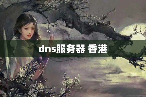 dns服務(wù)器 香港