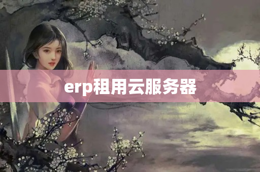 erp租用云服務(wù)器