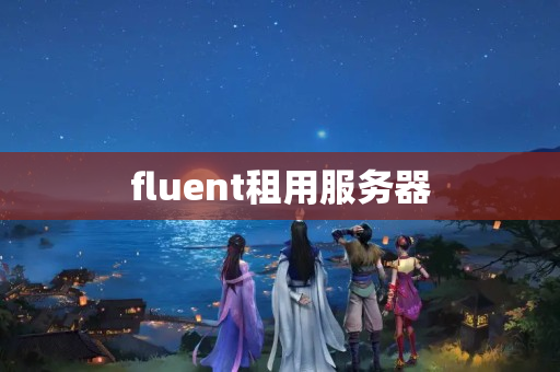 fluent租用服務(wù)器