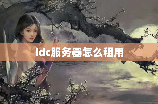 idc服務(wù)器怎么租用