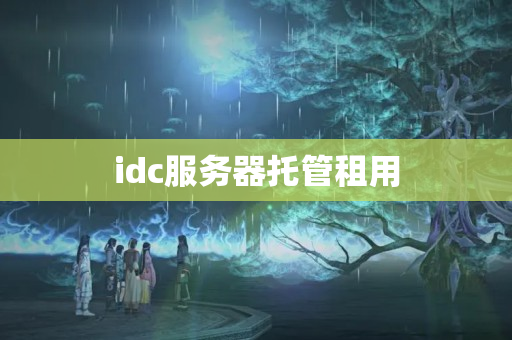 idc服務(wù)器托管租用