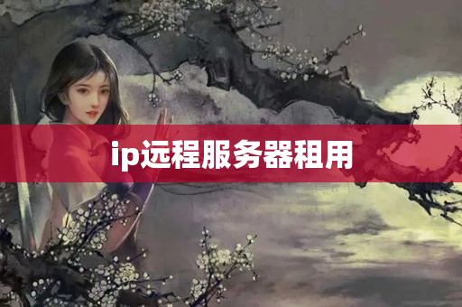 ip遠(yuǎn)程服務(wù)器租用