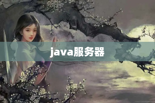 java服務器