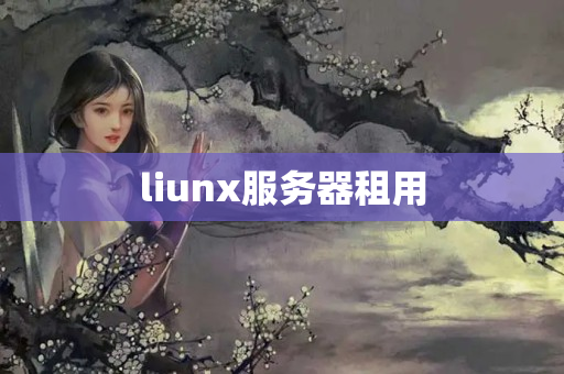 liunx服務(wù)器租用