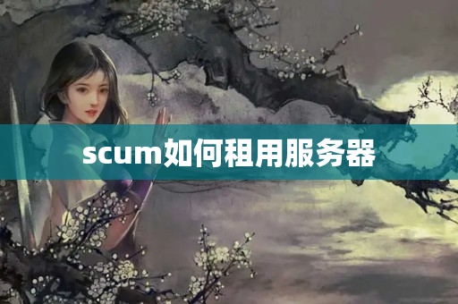 scum如何租用服務(wù)器