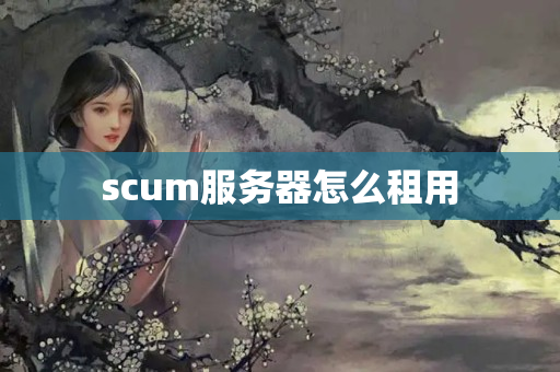 scum服務器怎么租用