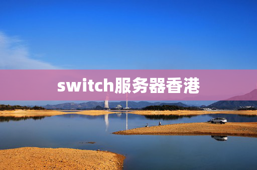 switch服務(wù)器香港