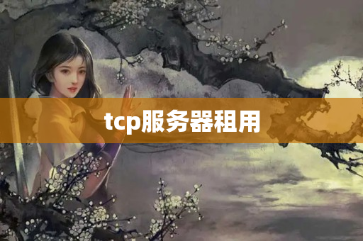 tcp服務器租用