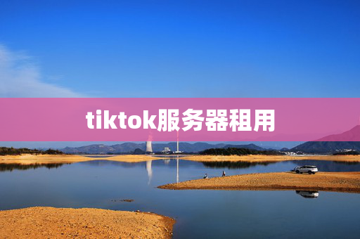 tiktok服務(wù)器租用