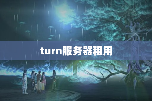 turn服務(wù)器租用