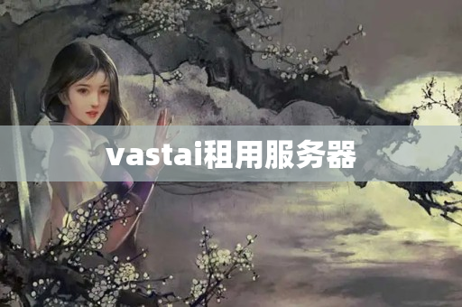 vastai租用服務(wù)器