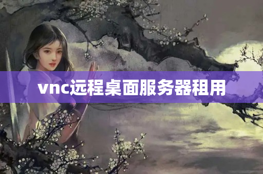 vnc遠程桌面服務(wù)器租用