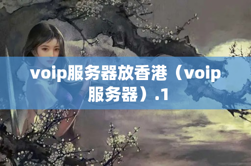 voip服務(wù)器放香港（voip 服務(wù)器）